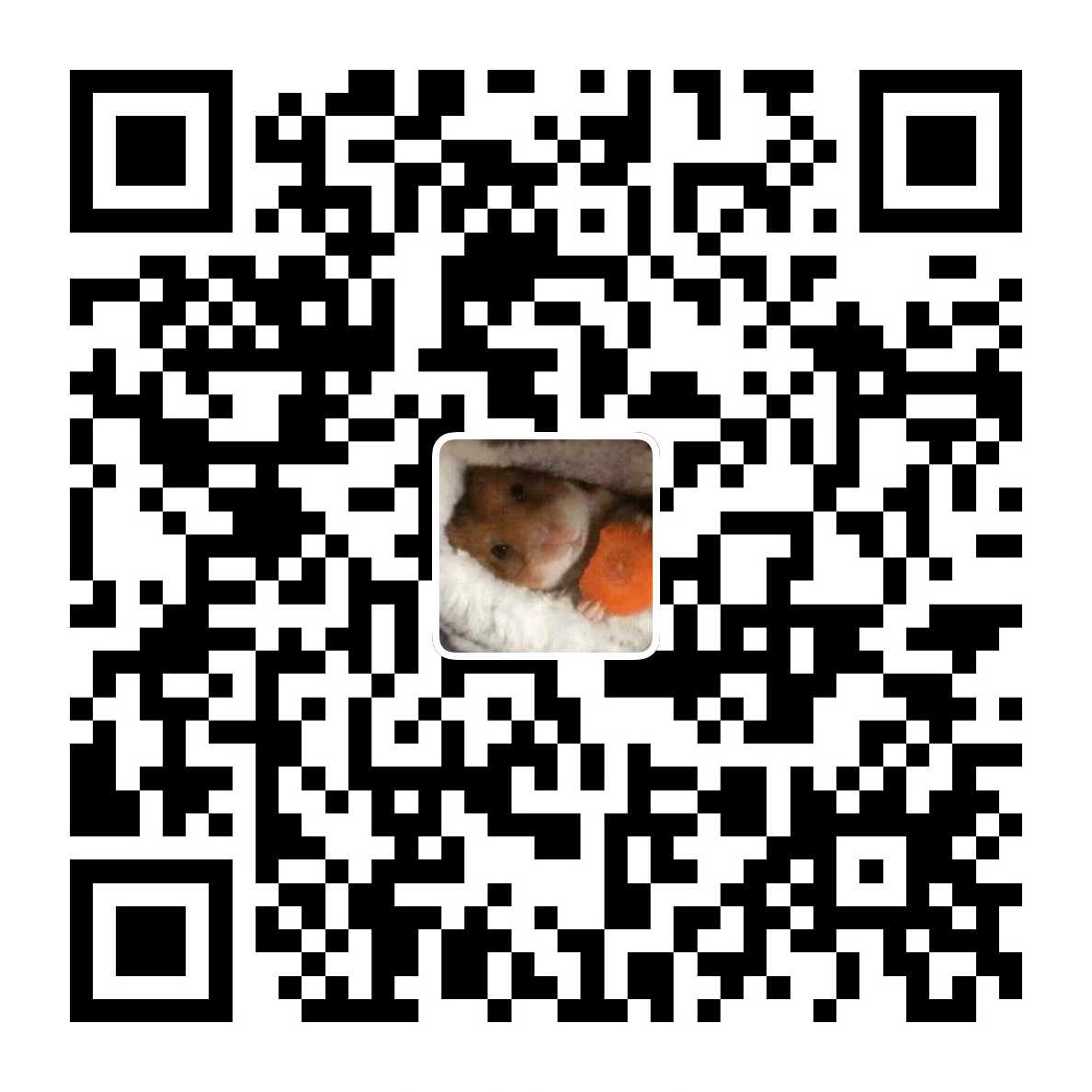 支付宝支付 扫码赞助
