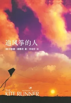 追风筝的人（珍藏纪念版）